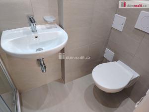 Pronájem bytu 1+kk, Děčín - Děčín III-Staré Město, Zelená, 21 m2