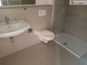 Pronájem bytu 3+1, Děčín - Děčín III-Staré Město, Zelená, 65 m2