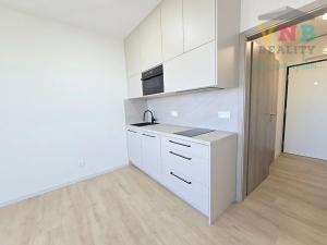 Pronájem bytu 1+kk, Olomouc, Aloise Rašína, 25 m2