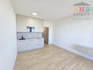 Pronájem bytu 1+kk, Olomouc, Aloise Rašína, 25 m2