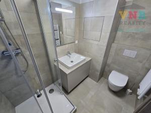 Pronájem bytu 1+kk, Olomouc, Aloise Rašína, 25 m2