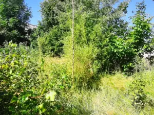 Prodej chaty, Staré Město, 40 m2