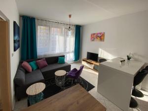Pronájem bytu 2+kk, České Budějovice - České Budějovice 2, Prachatická, 41 m2