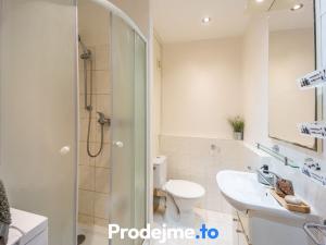 Pronájem bytu 1+1, Znojmo, Coufalova, 34 m2