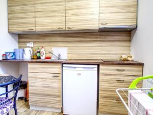 Pronájem bytu 1+kk, Býšť - Hoděšovice, 28 m2