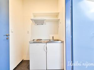 Pronájem bytu 1+kk, Brno, Cejl, 31 m2