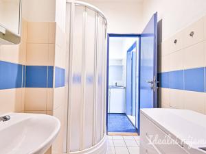 Pronájem bytu 1+kk, Brno, Cejl, 31 m2