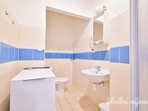 Pronájem bytu 1+kk, Brno, Cejl, 31 m2