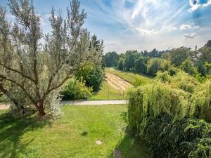 Pronájem bytu 1+kk, Poděbrady, Kozinova, 33 m2