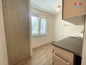 Pronájem bytu 1+kk, Šternberk, Nádražní, 33 m2