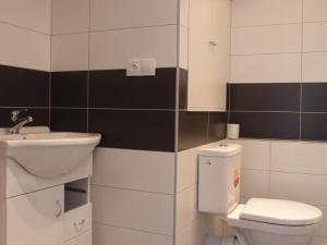 Pronájem bytu 1+1, Pardubice - Cihelna, U Josefa, 43 m2