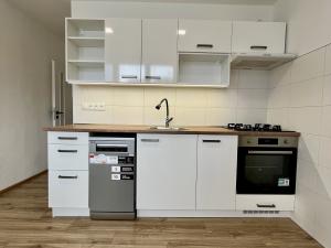 Pronájem bytu 2+1, Ostrava - Přívoz, Arbesova, 55 m2