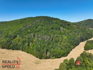 Prodej lesa, Lomnička, 8887 m2