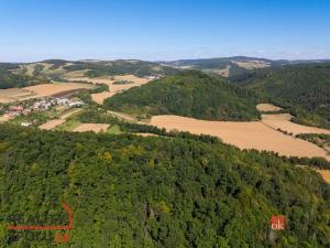 Prodej lesa, Lomnička, 8887 m2