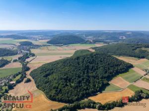 Prodej lesa, Lomnička, 8887 m2