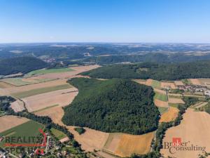 Prodej lesa, Lomnička, 8887 m2