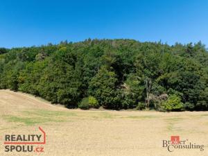 Prodej lesa, Lomnička, 8887 m2