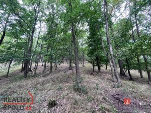 Prodej lesa, Lomnička, 8887 m2