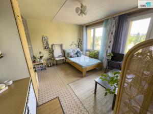 Prodej bytu 1+kk, Plzeň - Bolevec, Turistická, 27 m2