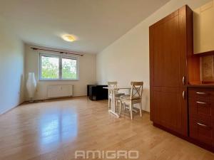 Pronájem bytu 1+kk, Brno, Božetěchova, 32 m2