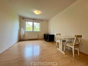 Pronájem bytu 1+kk, Brno, Božetěchova, 32 m2