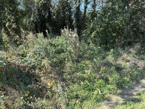Prodej pozemku pro bydlení, Kamenný Přívoz, 357 m2