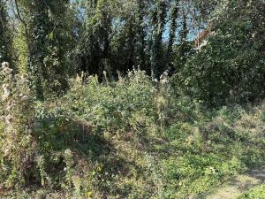 Prodej pozemku pro bydlení, Kamenný Přívoz, 357 m2