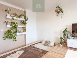 Prodej bytu 2+1, Plzeň, Brojova, 56 m2