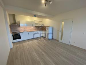 Pronájem bytu 3+kk, Opava - Předměstí, Kačírkova, 98 m2