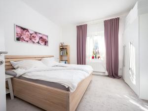 Prodej rodinného domu, Pardubice - Bílé Předměstí, Zajíčkova, 300 m2