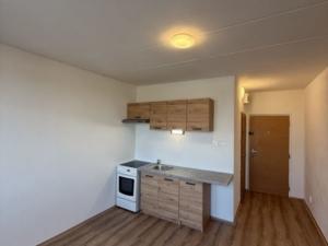 Prodej bytu 1+1, Chomutov, Skalková, 36 m2