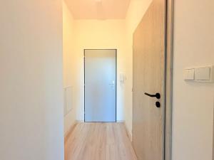 Pronájem bytu 1+kk, Milovice, Slepá, 23 m2