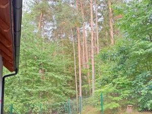 Pronájem rodinného domu, Drevníky, 90 m2
