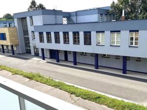 Pronájem bytu 1+kk, Ostrava, Lumírova, 28 m2