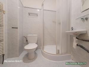 Pronájem bytu 1+1, Praha - Smíchov, U Santošky, 45 m2