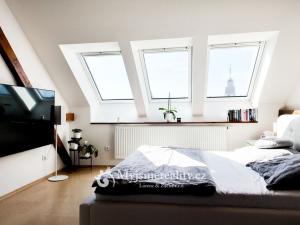 Prodej bytu 5+kk, Znojmo, Rooseveltova, 170 m2