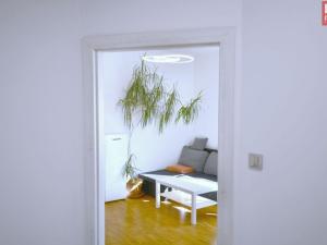 Prodej bytu 2+kk, Olomouc, Dolní náměstí, 61 m2