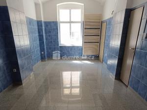 Pronájem kanceláře, Děčín - Děčín IV-Podmokly, Čs. legií, 71 m2