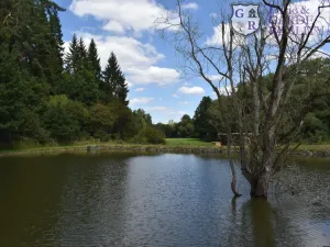 Prodej rybníku, Božetice, 11677 m2