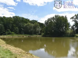 Prodej rybníku, Božetice, 11677 m2