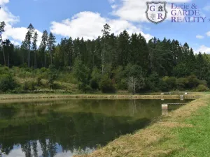 Prodej rybníku, Božetice, 11677 m2