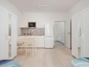 Pronájem bytu 1+kk, Plzeň - Jižní Předměstí, Technická, 27 m2