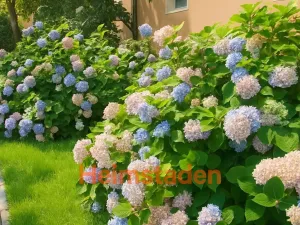 Pronájem bytu 3+1, Havířov - Město, Hybešova, 64 m2