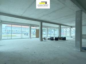 Pronájem výrobních prostor, 550 m2