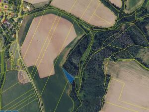 Prodej lesa, Letovice, 1894 m2