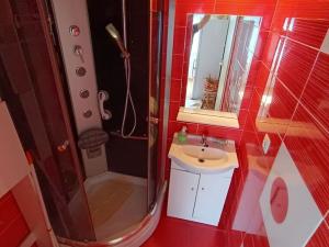 Pronájem bytu 2+1, České Budějovice - České Budějovice 2, J. Opletala, 61 m2
