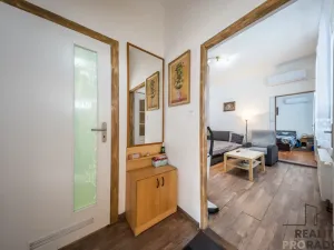 Prodej vícegeneračního domu, Hodonín, Komenského, 242 m2