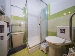 Prodej vícegeneračního domu, Hodonín, Komenského, 242 m2