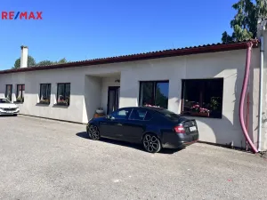 Pronájem výrobních prostor, Olešná, 1100 m2