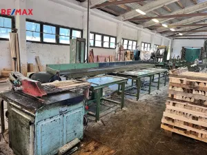 Pronájem výrobních prostor, Olešná, 1100 m2